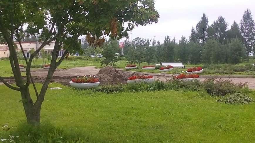 В Буферном парке Пушкина проводятся работы по благоустройству, фото-4