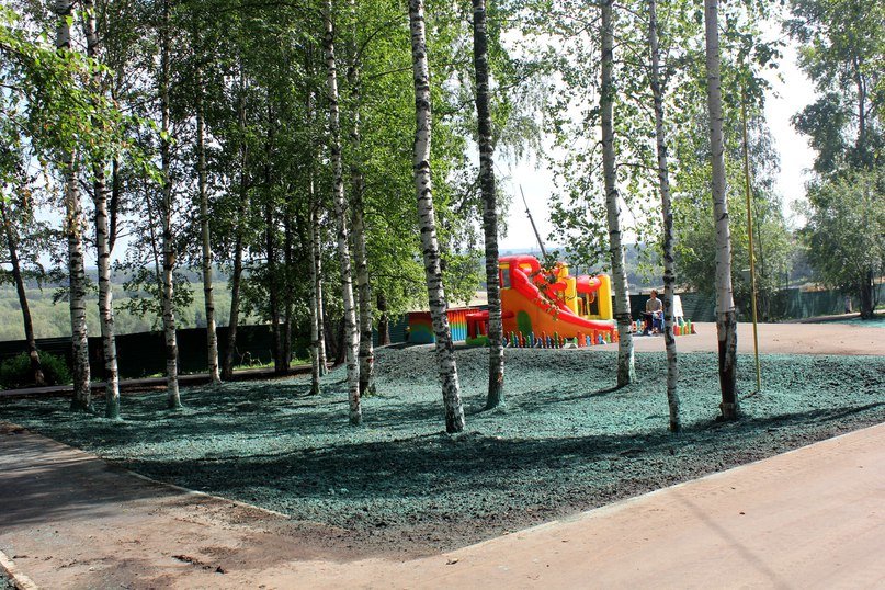 Землю в сыктывкарском Кировском парке покрасили в изумрудный цвет, фото-1