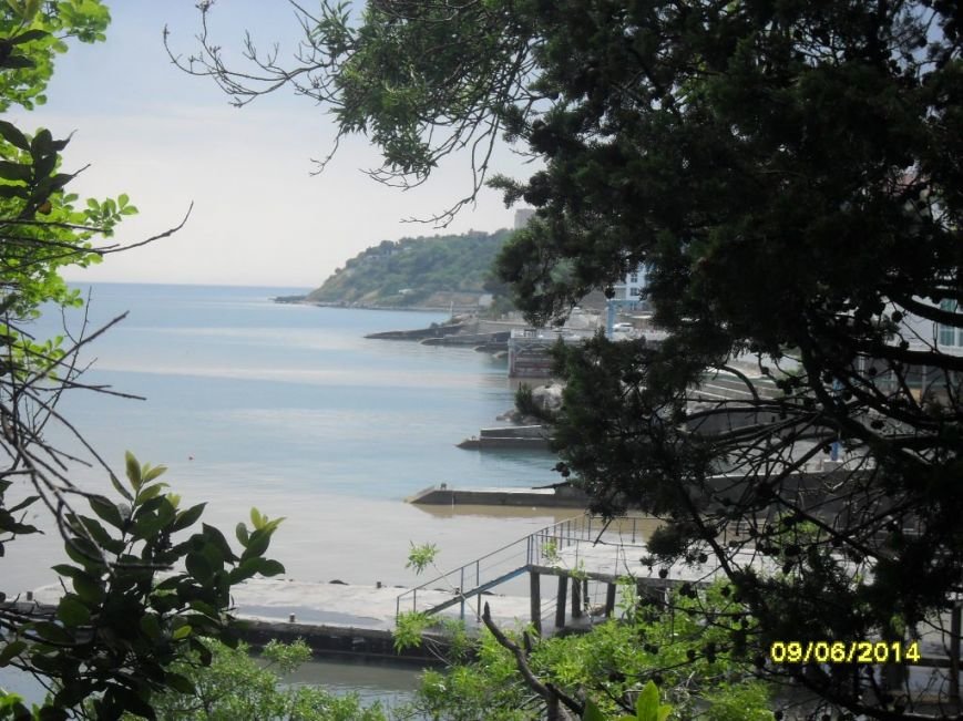 На пляжах в Алупке разливаются нечистоты, фото-6 На пляжах в Алупке разливаются нечистоты, фото-6