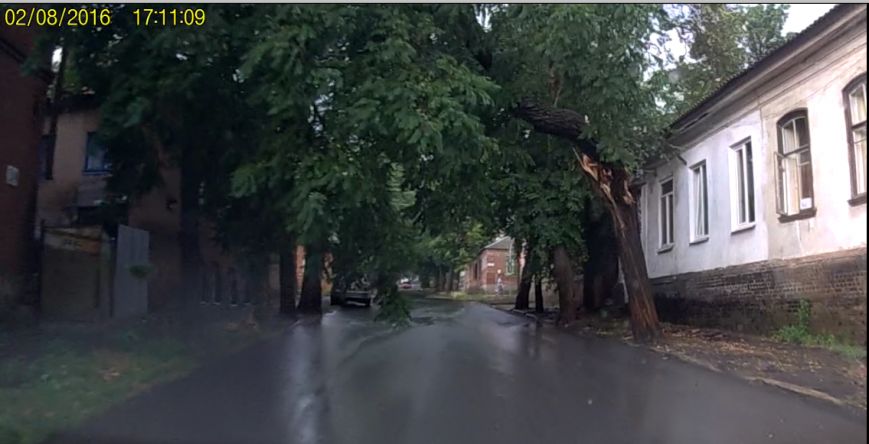 Вчера в Кропивницком непогода ломала деревья и ветки. ФОТО, фото-1 Вчера в Кропивницком непогода ломала деревья и ветки. ФОТО, фото-1
