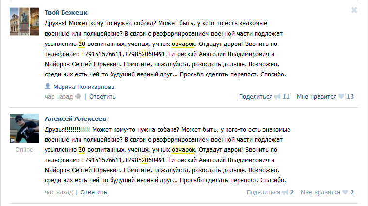 мошенники и собаки мошенники и собаки
