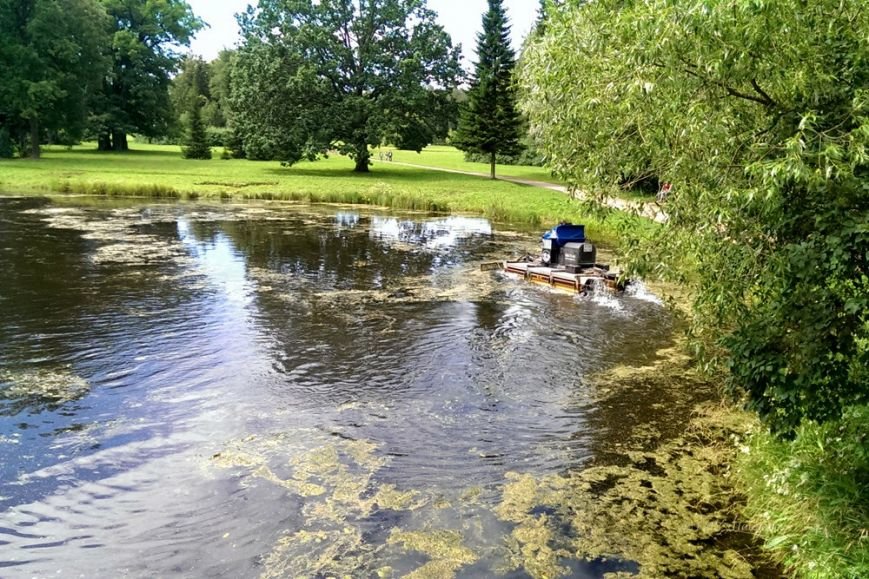 Чистка прудов в Павловском парке