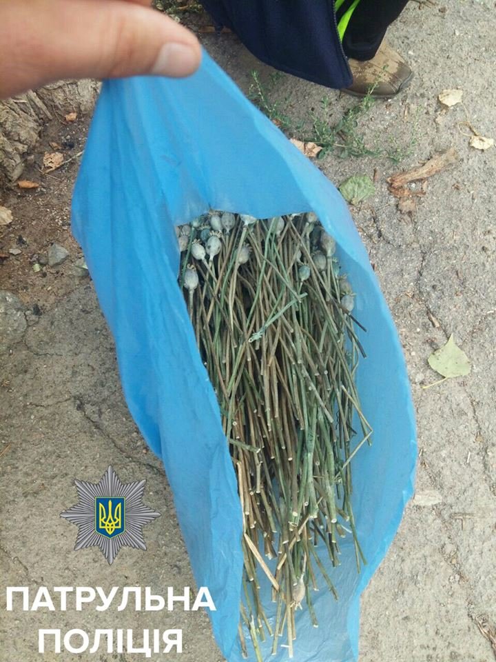 В Кропивницком патрульные поймали мужчину с полным пакетом..., фото-2 В Кропивницком патрульные поймали мужчину с полным пакетом маковой соломки (ФОТО), фото-2