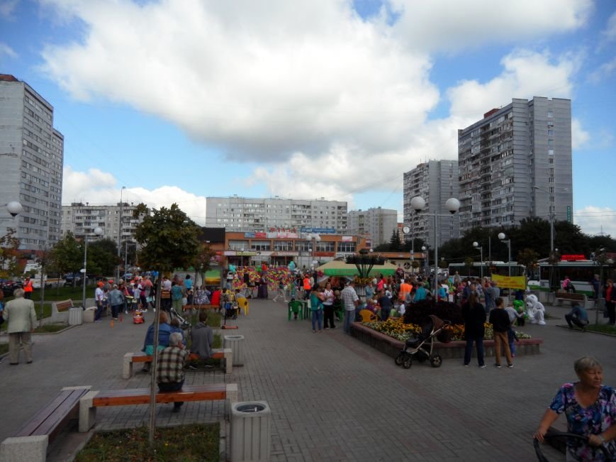 Площадь троицка. Троицк Москва Академическая площадь. Академический сквер Троицк. Троицк Академическая площадь сквер. Город Троицк Академическая площадь дом 1.