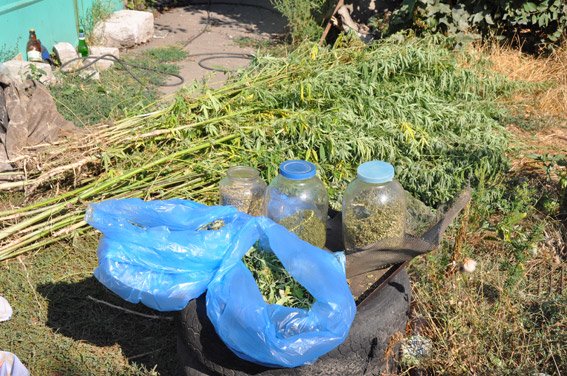 Николаевская полиция изъяла наркотиков на 100000 гривен (ФО..., фото-2 Николаевская полиция изъяла наркотиков на 100000 гривен (ФОТО, ВИДЕО), фото-2