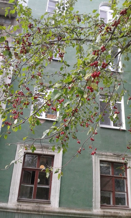 Осенний Полевской (фотозарисовка), фото-3 Осенний Полевской (фотозарисовка), фото-3
