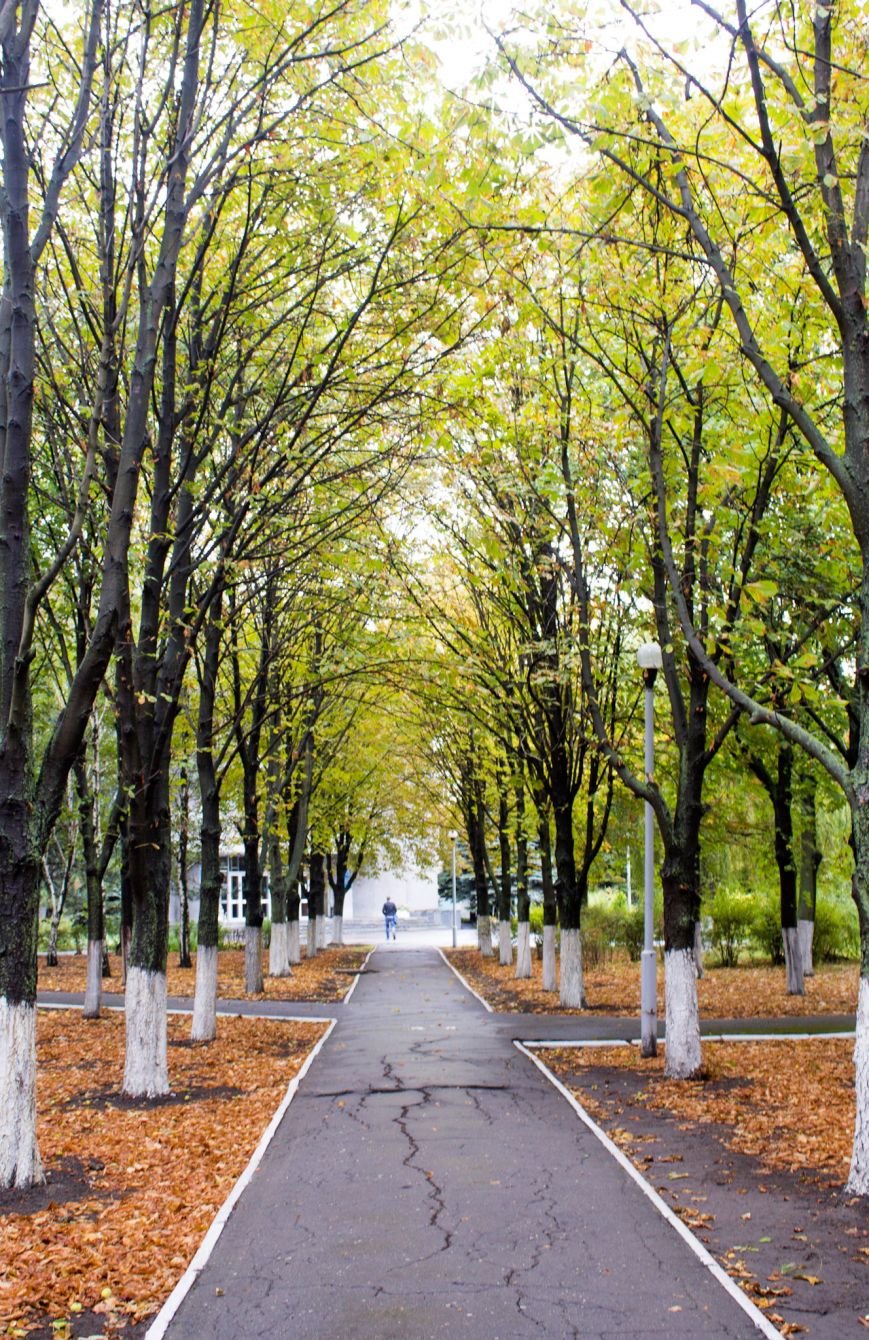 Долгие дороги, фото-1 Долгие дороги, фото-1