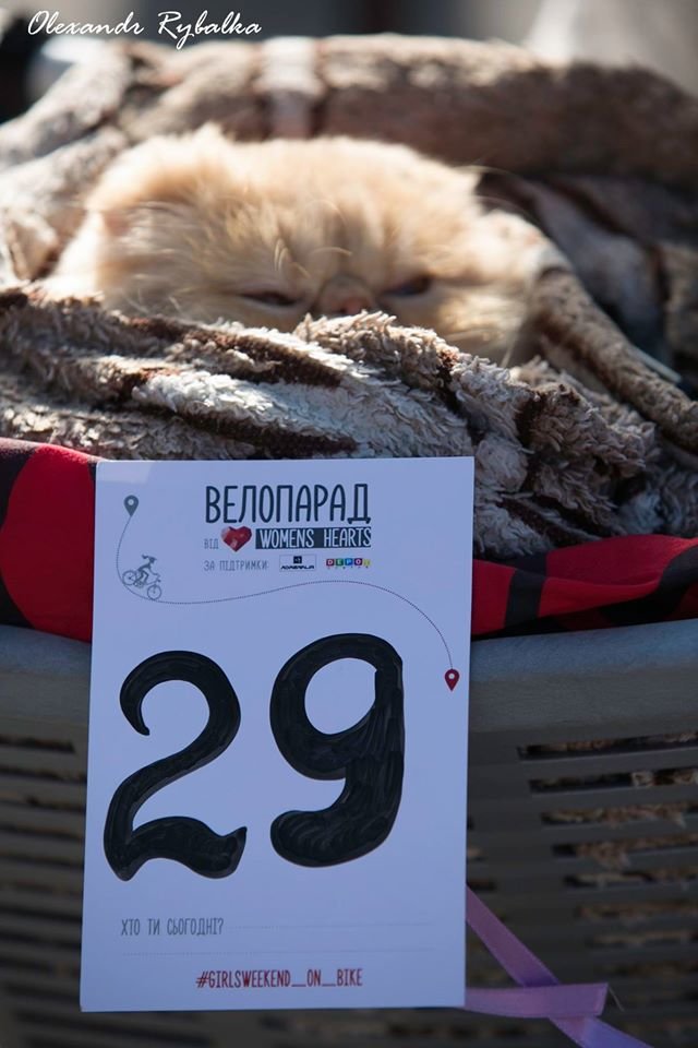У Черкасах відбувся жіночий велопарад – з квітами, м’якими..., фото-6 У Черкасах відбувся жіночий велопарад – з квітами, м’якими іграшками й навіть живим котом (ФОТО), фото-6