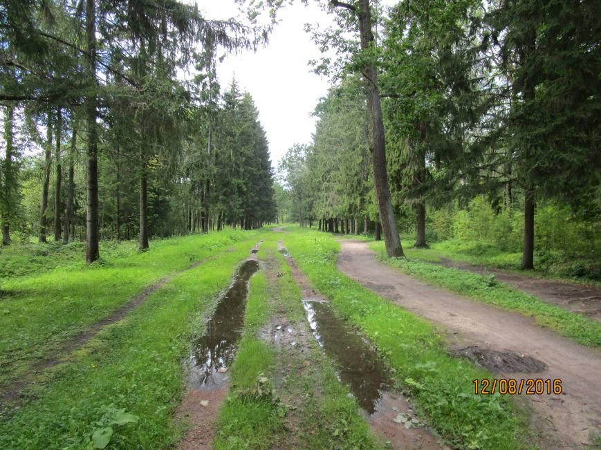было_1 было_1
