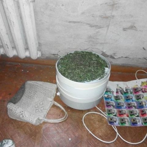 У конотопчанки вилучили коноплю та пристрій для куріння "др..., фото-1 У конотопчанки вилучили коноплю та пристрій для куріння "драпу", фото-1