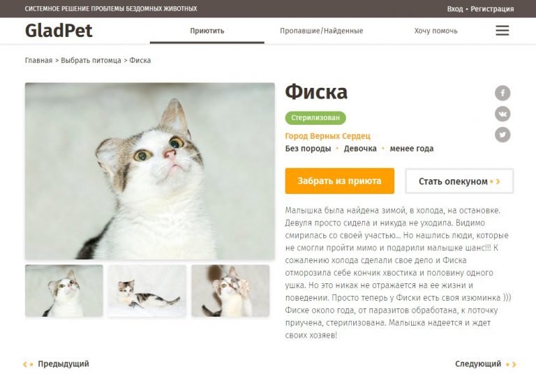 В Одессе запустили сайт, помогающий найти дом животным из п..., фото-1 В Одессе запустили сайт, помогающий найти дом животным из приютов, фото-1