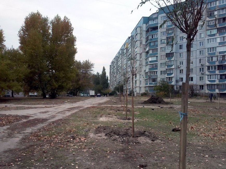 Дерева-1 Дерева-1