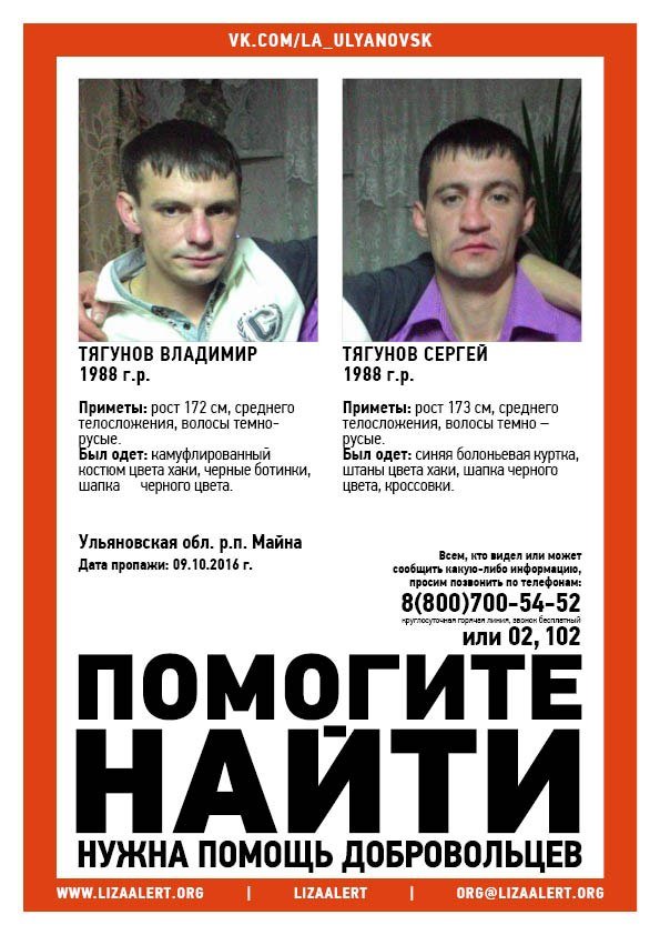 Пропавших в Ульяновской области братьев так и не нашли, фото-1