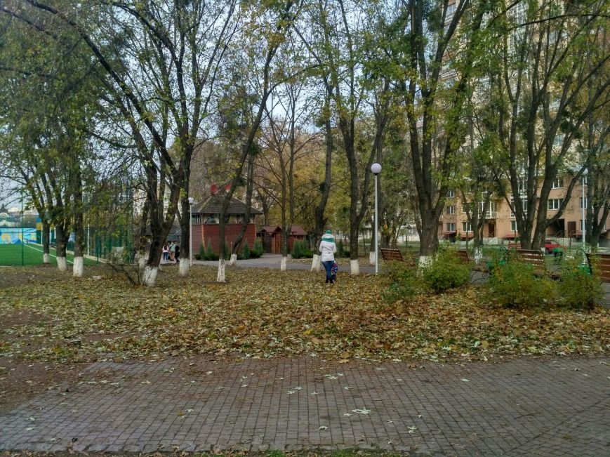 Одну часть парка убрали, про вторую забыли, фото-2 Одну часть парка убрали, про вторую забыли, фото-2