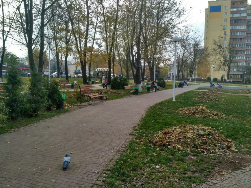 Одну часть парка убрали, про вторую забыли, фото-1 Одну часть парка убрали, про вторую забыли, фото-1