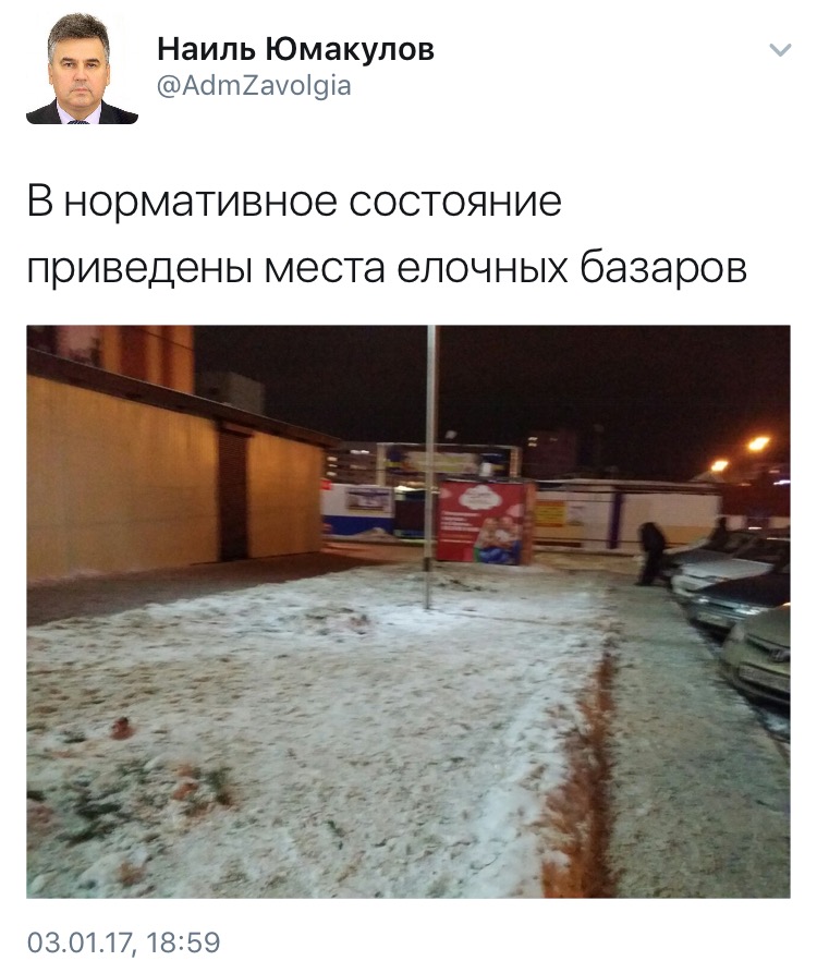 Ульяновск очистился после встречи Нового года, фото-1