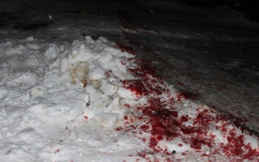 У Житомирській області через нічну стрілянину оголосили пла..., фото-2 У Житомирській області через нічну стрілянину оголосили план-перехоплення "Сирена", фото-2