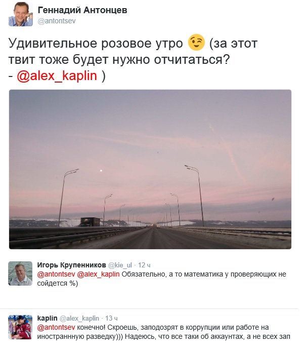 Ульяновские чиновники обеспокоены отчетами о соцсетях, фото-1