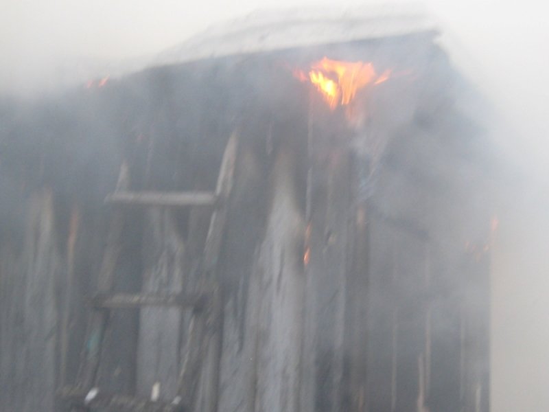 В Карсунском районе заживо сгорели отец и сын. ФОТО, фото-2