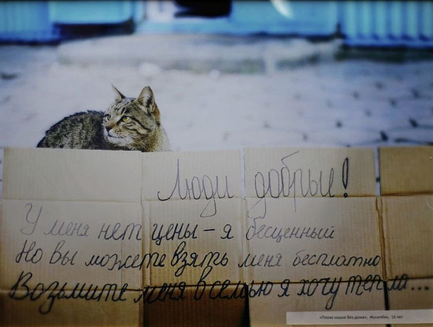жус ипбек жус ипбек