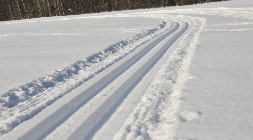 Лыжня Лыжня