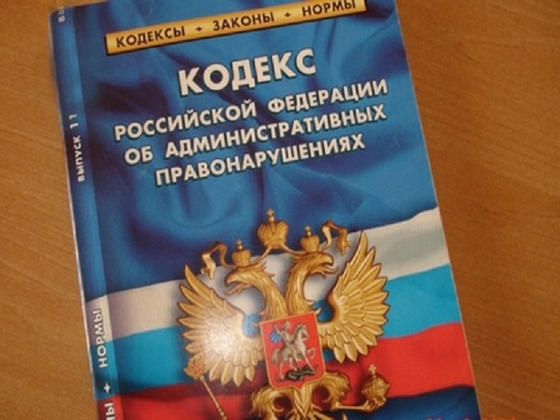 Кодекс Кодекс