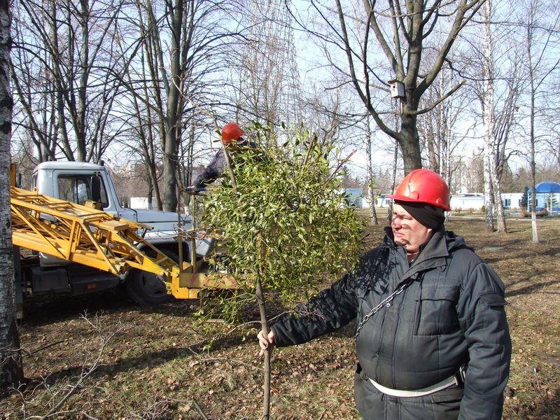 Омела-1 Омела-1
