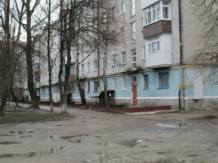 Небезпека поряд: У житловому кварталі Новограда-Волинського..., фото-3 Небезпека поряд: У житловому кварталі Новограда-Волинського виявили снаряд (ФОТО, ВІДЕО), фото-3