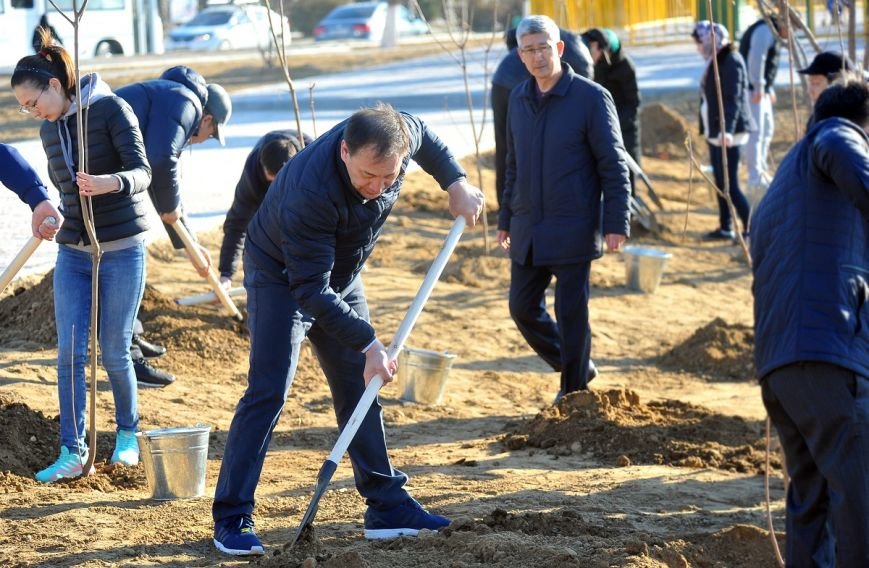 Аким Мангистауской области принял участие в посадке деревье..., фото-1 Аким Мангистауской области принял участие в посадке деревьев. Фото, фото-1