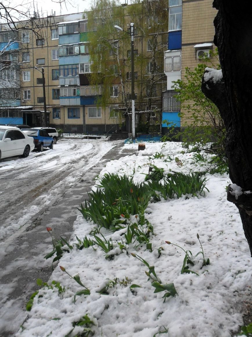 Непогода в Никополе, фото-17 Непогода в Никополе, фото-17