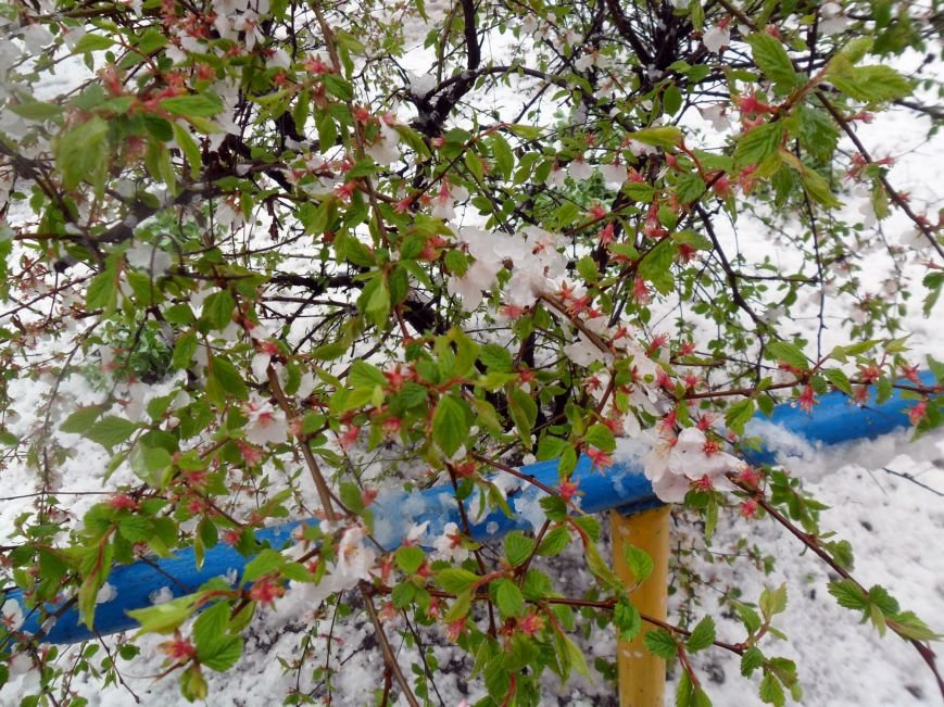 Непогода в Никополе, фото-4 Непогода в Никополе, фото-4
