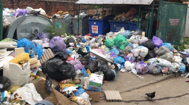 Найгірша ситуація із вивезенням сміття у Львові у Шевченків..., фото-1 Найгірша ситуація із вивезенням сміття у Львові у Шевченківському районі: фото та відео, фото-1