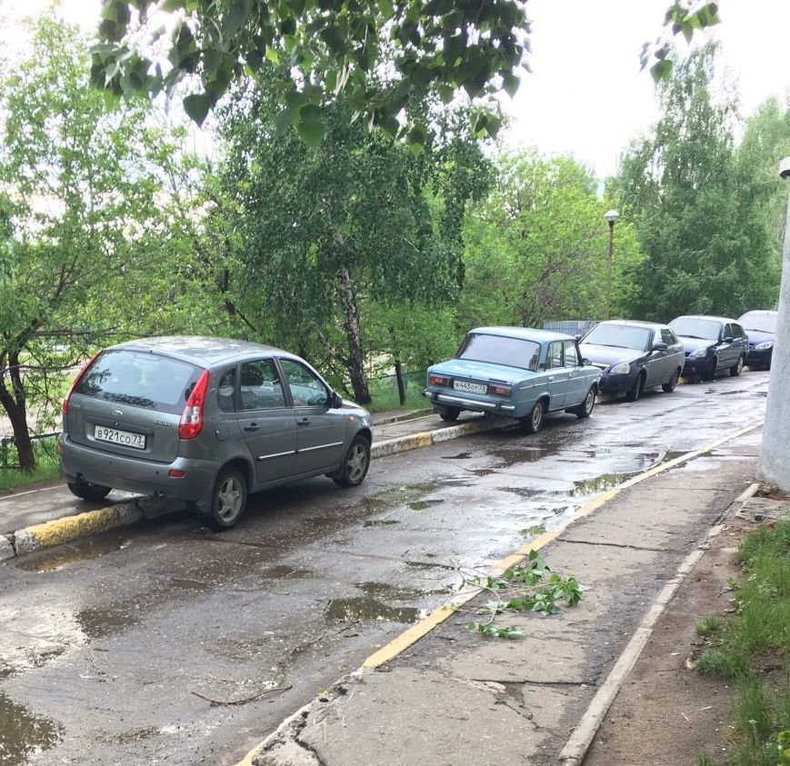 Ураган наломал дров в Ульяновске. ФОТО, фото-2