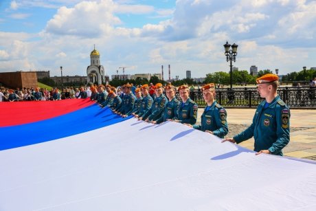 трикол1 трикол1