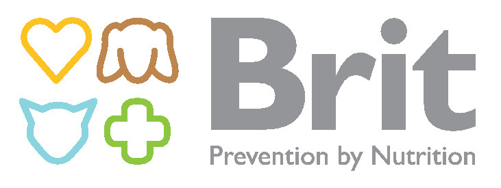 Brit (копия)