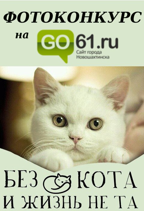 Фотоконкурс