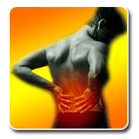 logo135036518612