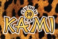logotip_kami1329682163