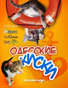 048_conquest_234x304_odessakitten-zooboom+