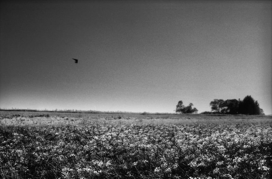 Hang-glider above the barren field