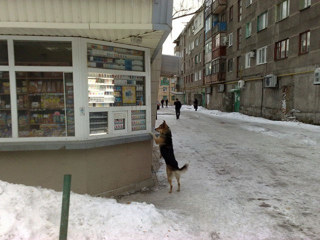 QVKz4F_6ucg