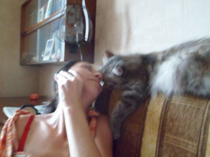 Кошкина любовь Кошкина любовь