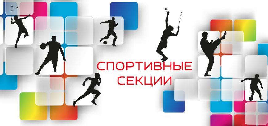 Спортивные секции Домодедово