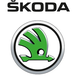 logo-06
