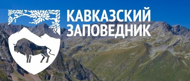 Безымянный