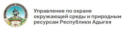 Безымянный