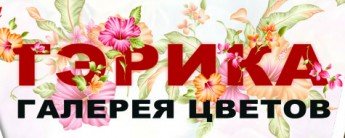 teruka_138182404613